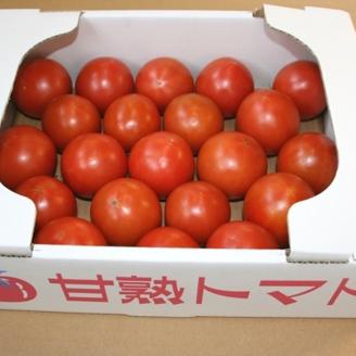 【2026年4月以降順次発送分】とっても甘～い！川助農園のフルーツトマト1kg以上（最大糖度16.1度！！）