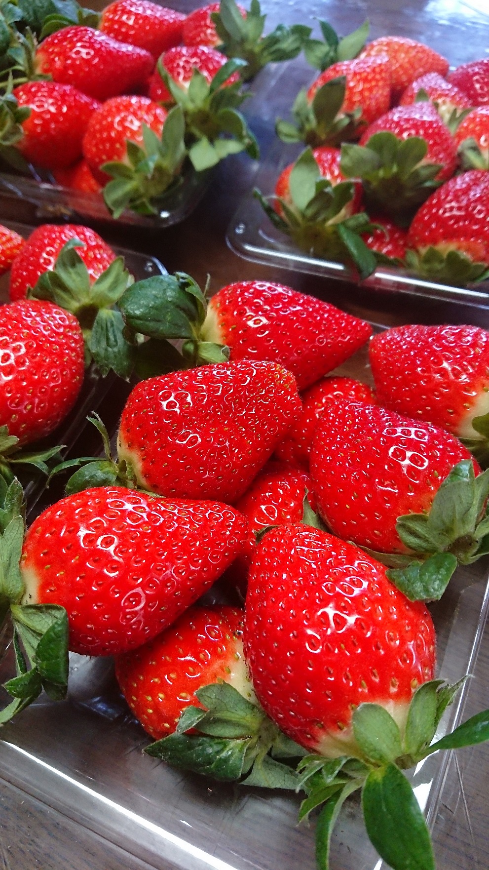 知る人ぞ知る「いちごの名産地」愛知県津島市 生産歴70年の実力とこだわり かとう農園「ゆめのか」いちご2パック【令和8年1月以降順次発送】