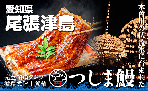 【純国産ウナギ】つしま鰻蒲焼2尾入(300g)