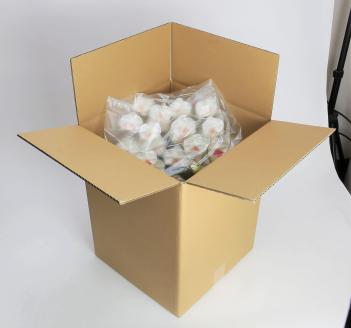 綺麗で丈夫な三河陶器で贈る 光触媒胡蝶蘭小輪３本立（白の陶器×白桃色の花）　H100-083