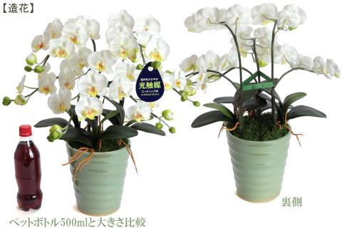 綺麗で丈夫な三河陶器で贈る光触媒胡蝶蘭小輪５本立（白の陶器×白色の花）H100-078