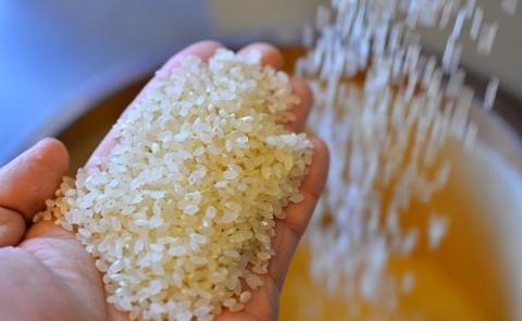 【お米マイスター】ほっ懐かし米 10kg 令和7年度産 こだわり ブレンド こめ コメ 米 H056-132