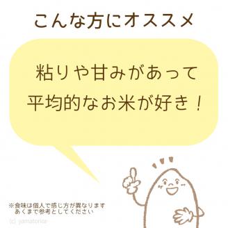 愛知県産コシヒカリ 10kg(5kg×2袋) ※定期便6回　こめ コメ ごはん 安心安全なヤマトライス 米 白米 国産 精米 10キロ H074-698