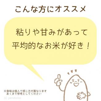 愛知県産コシヒカリ 5㎏ ※定期便6回 こめ コメ ごはん 安心安全なヤマトライス 米 白米 国産 精米 5キロ H074-697
