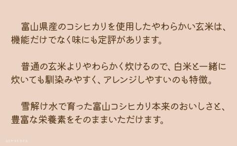 やわらかい玄米 900g×4袋　※定期便12回　小分け 米 こめ コメ ごはん 栄養豊富 簡単 便利 美容 健康 新食感 もちもち 安心安全なヤマトライス H074-645