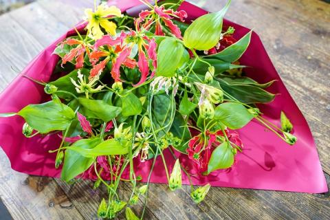 【栄光・情熱の花】グロリオサの花束　H092-047