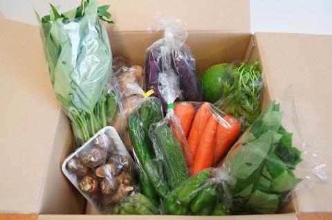 目利きのプロ 八百屋厳選 野菜詰め合わせセット（8～10種類お届け）　H151-010