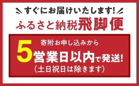 【12月18日受付分まで年内発送】（数量限定）【すぐにお届け&日時指定可】 愛知県産コシヒカリ 10kg(5kg×2袋)　こめ コメ ごはん 安心安全なヤマトライス 米 白米 国産 精米 10キロ 新米 令和7年 H074-688