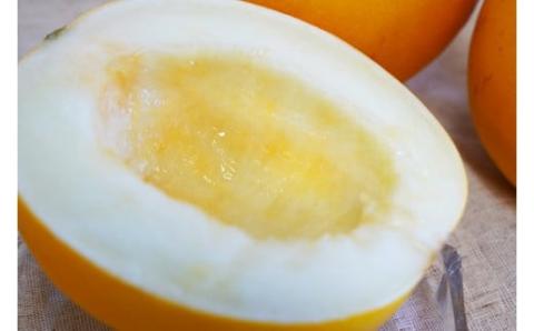 【2026年発送】完熟！イエローキングメロン 5kg以上(5玉～6玉)　H141-017