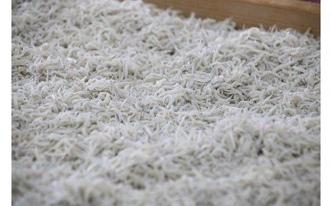 【12月18日受付分まで年内発送】しらす屋のしらす干し　1ｋｇ×12個　12ｋｇ　H006-071