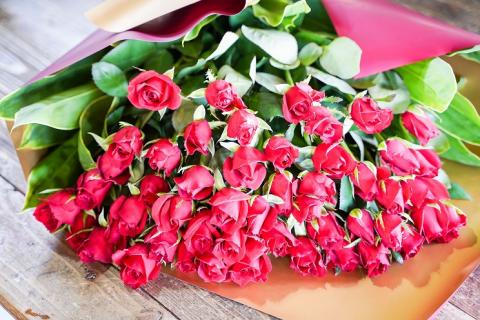 【圧巻の50本】真っ赤なバラの花束　H092-048