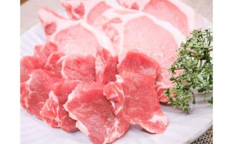 ブランド豚 “三州あおみ豚” 豚カツ用セット 計700g（ロース肉480g＆ヒレカツ用220g） 豚肉 冷凍 H030-015