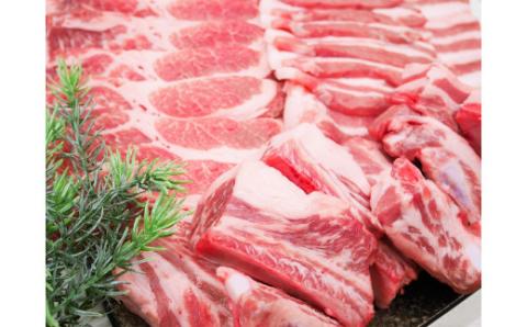 ブランド豚 “三州あおみ豚” 焼肉セット 計1.5kg（肩ロース500g＆豚バラ500g＆スペアリブ500g） 豚肉 冷凍 H030-011