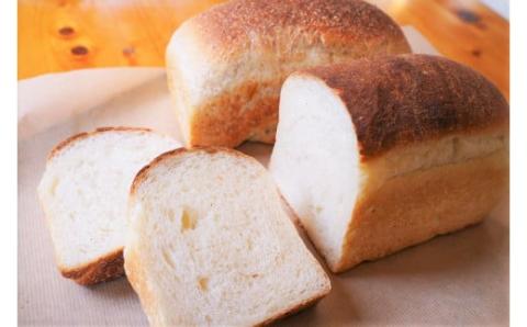 国産小麦・天然酵母　乳卵バター不使用　石窯焼きパンセット　H069-024