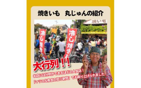 【全3回】 毎月お届け 冷やし焼き芋３種食べ比べセット 約1kg×3回 定期便  芋スイーツ H047-036