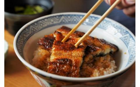 【へきなん日帰りガイドツアー1名様プラン】醸造文化と歴史を感じる大浜てらまち散策と地元みりんの贅沢うな丼ランチ 体験チケット 食事券 体験 愛知県 うなぎ 蒲焼 寺院 歴史 H186-004