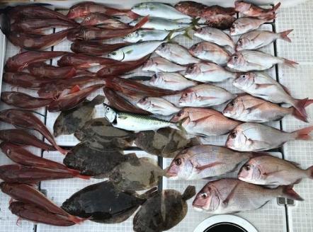 衣浦マリーナより出港！船釣りフィッシングガイド（６時間コース・定員４名・１名様から可）【注意事項必ずご確認ください】　H152-001