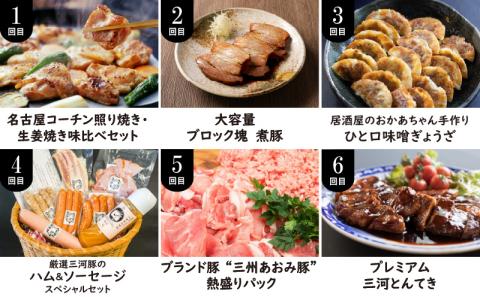 【全6回】厳選！お肉づくめの定期便　H028-080