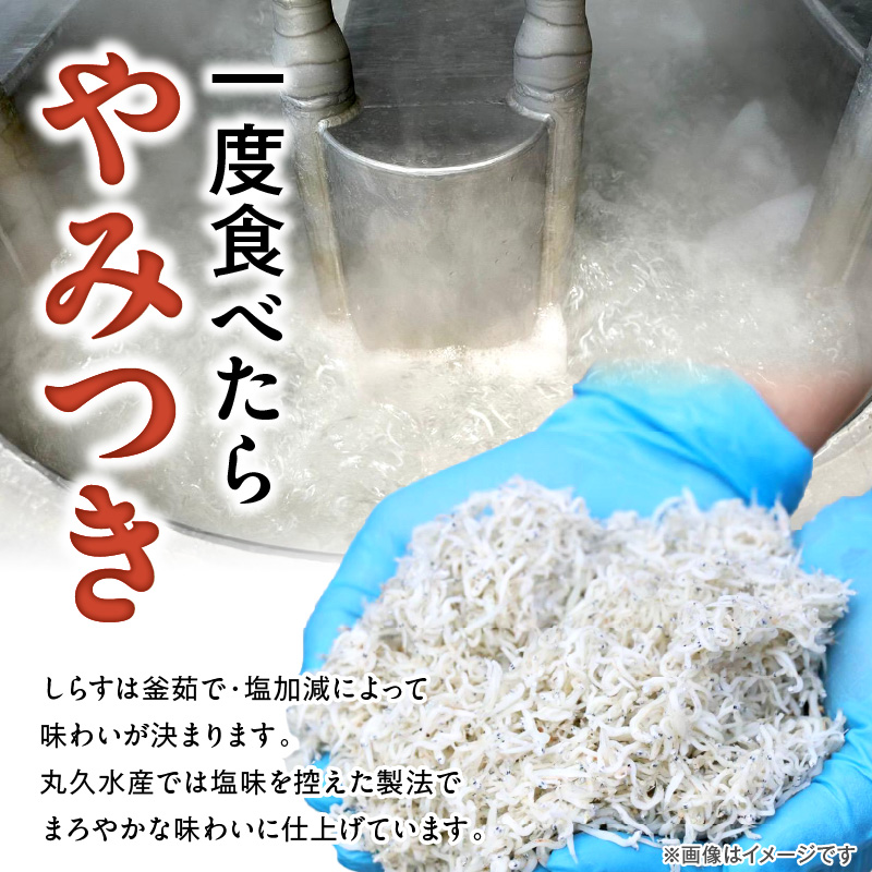 【12月24日受付分まで年内発送】訳あり こモリ1kg！バラエティ豊富な三河しらす～海の仲間たち～　H018-046