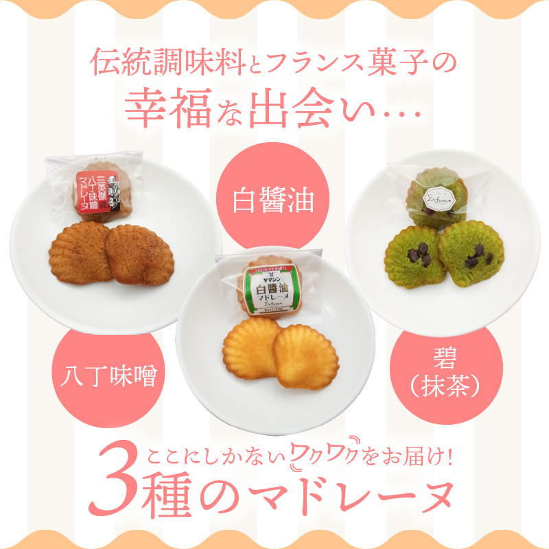 三河物語 三英傑セット～碧南が発祥の白醤油 三英傑が愛した西尾の抹茶、徳川家康お膝元の八丁味噌を使ったマドレーヌの味くらべセット～12個入り H043-010