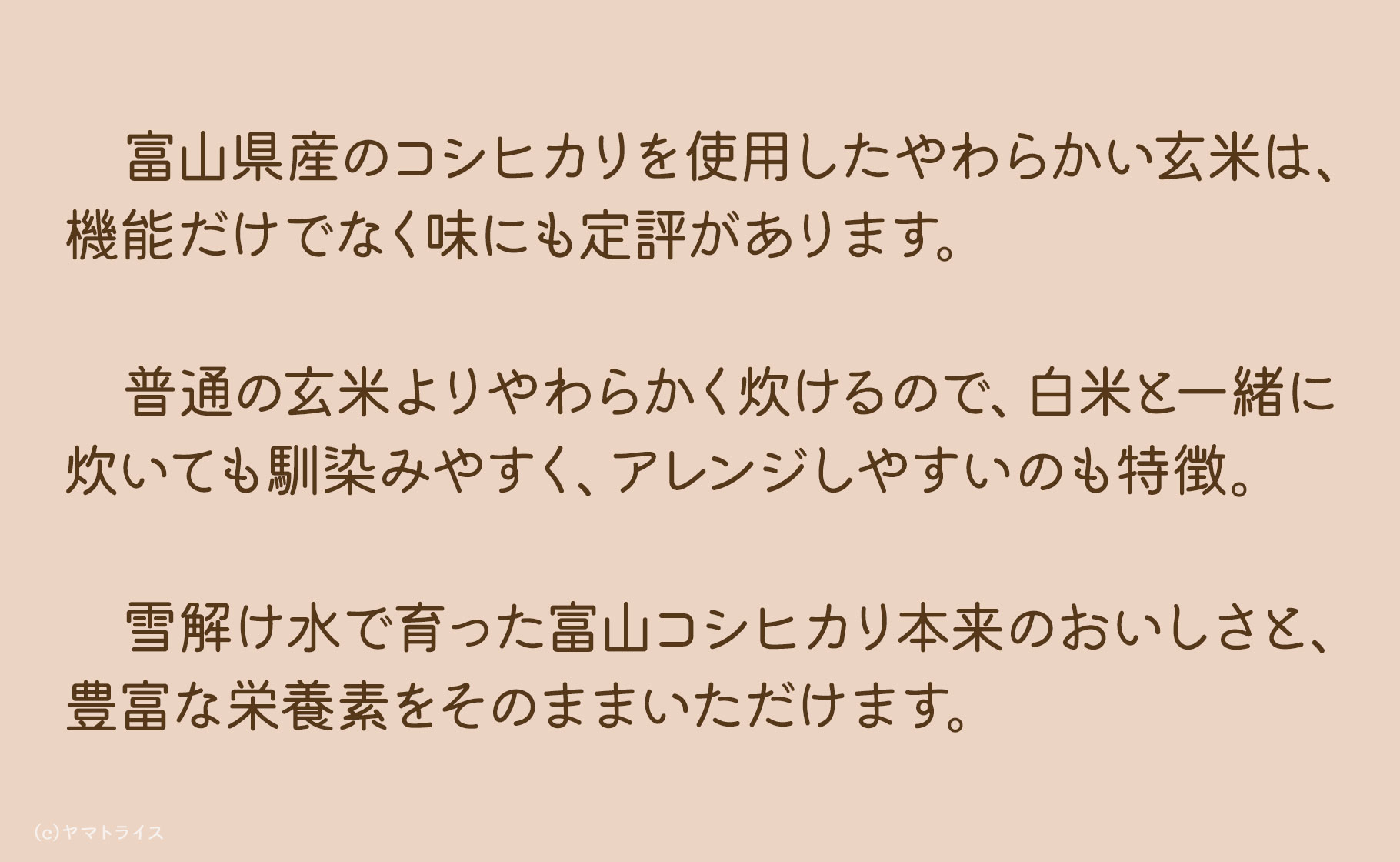 やわらかい玄米 900g ※12回定期便　安心安全なヤマトライス　H074-650
