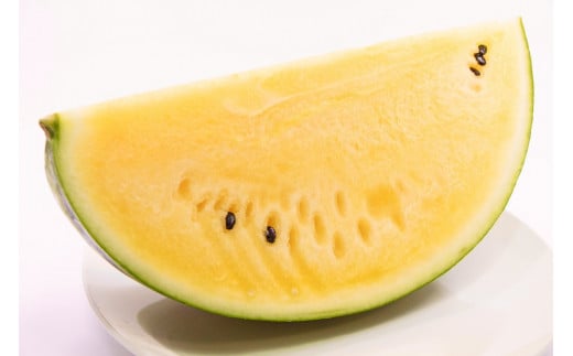 【2026年発送】甘さを追求したすいか「金色羅皇」1玉 すいか 甘い すいか1玉 果物 フルーツ　H141-014