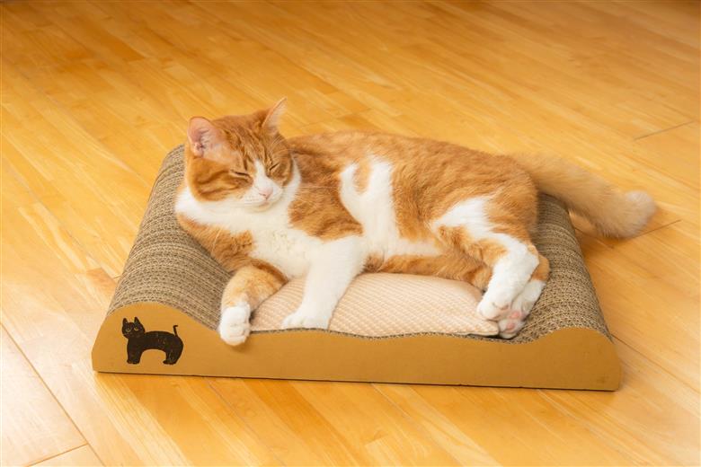 ねむりや×鈴木紙器 【ふわぽか?にゃんバリ】 ゴミの出ない爪研ぎダンボールとふわふわ羽毛クッションのコラボ 日本製 猫 ペット H162-039