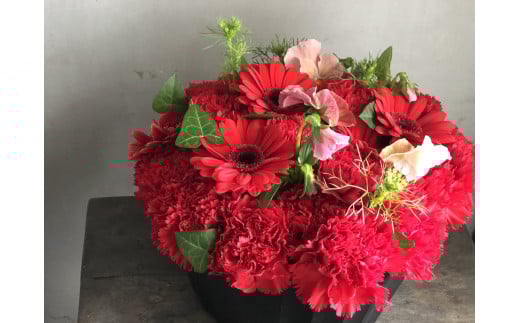 【花瓶いらず！】レッドカーネーションでふわもこケーキのようなフラワーアレンジ！ そのまま飾れる プレゼント 贈り物 還暦 記念日 お誕生日 お祝い 母の日 H174-004