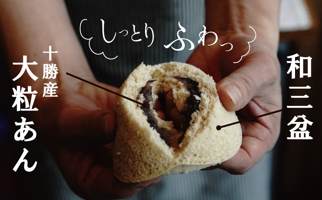 【蒸しどら プレーン 10個入 】和三盆 どら焼き 餡 ふわふわ しっとり食感 H181-004