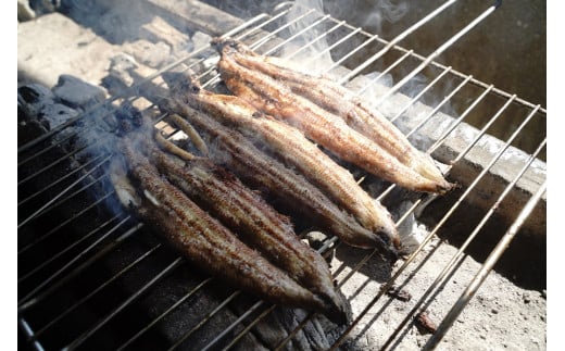 【備長炭で焼く“いい焦がし”】三河一色産うなぎの白焼 1尾 鰻 ウナギ 白焼き 国産 備長炭 土用 丑の日 冷凍 三河一色産 H189-010