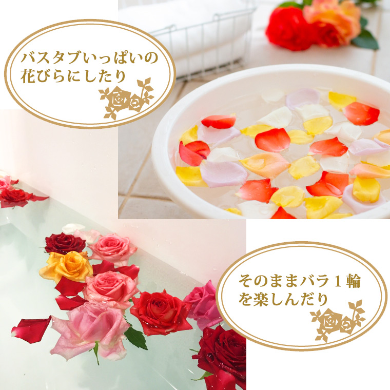 〈日付指定も可能〉 観賞はもちろん！バラ風呂やフラワーシャワーに！ ローズインにゅーよーくミックス５０輪 バラ５０輪詰め合わせ 風呂 薔薇 ローズ ギフト プレゼント ラッピング インテリア お花 フラワー H193-022