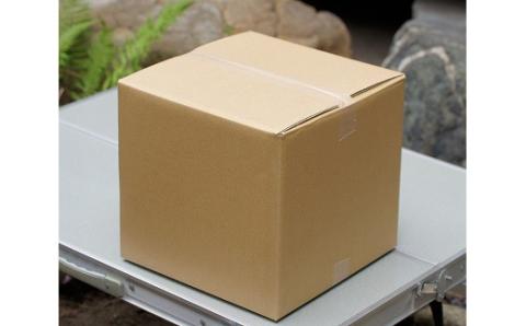 木炭コンロ8.5号（上置き・アミ付） H023-046