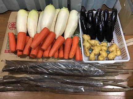 美肌・腸活 国産野菜たっぷり！麹を食べる 金山寺味噌(180g×8個)　H140-028