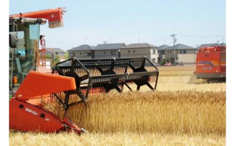 愛知県産 パン用 小麦粉 ゆめあかり 2.5kg × 4袋 計 10kg 12回 国産 強力粉 ブランド 小麦 強力系小麦粉 ふわふわ もっちり 甘味 チャック付き パン ホームベーカリー ベーグル 食パン お取り寄せ 愛知県 碧南市 送料無料 H008-257