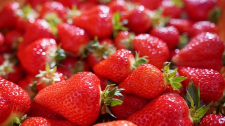 （予約受付中）【12月から順次発送】まるで赤いサファイア!!丹精込めた完熟いちご!! 約900g　H130-010