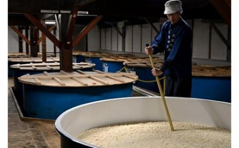 春限定 本みりん九重櫻 春爛漫ラベル 1.5L(500ml×3本) 九重味淋　H002-094