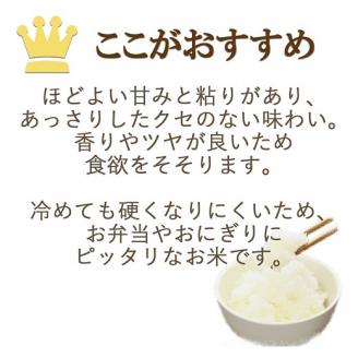 愛知県産あいちのかおり 10kg ※6回定期便　こめ コメ ごはん 安心安全なヤマトライス 米 白米 国産 精米 10キロ　H074-694