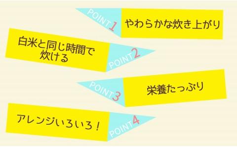 やわらかい玄米 1.8kg(900g×2袋)　※6回定期便　小分け 米 こめ コメ ごはん 栄養豊富 簡単 便利 美容 健康 新食感 もちもち 安心安全なヤマトライス　H074-649