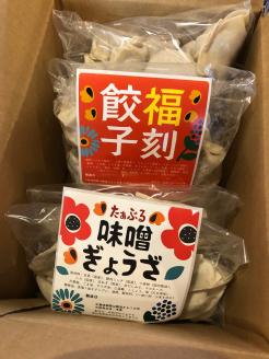 【定期便全3回】3ヶ月に1回お届け 居酒屋のおかあちゃん手作り　“パリパリひと口ぎょうざ”と“もちもち餃子”コラボセット 合計90個　H136-045
