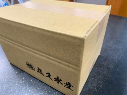 三河しらす 1.4kg（1kg箱入+400g化粧箱入） 魚介類 しらす シラス 国産 海の幸 ご飯のお供 おつまみ しらす丼 グルメ ギフト 贈り物 やみつき 冷凍 H018-048