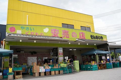 目利きのプロ 八百屋厳選 野菜詰め合わせセット（8～10種類お届け）　H151-010