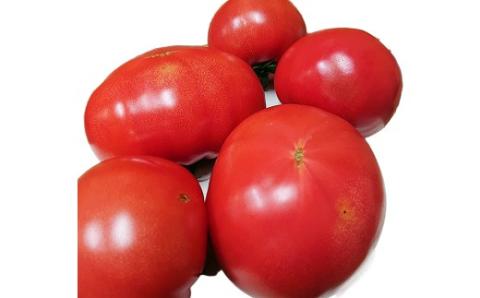 【訳あり】 この道40年の農家から直送 完熟！桃太郎トマト15～24玉　H139-017