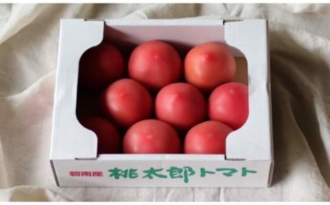 この道40年の農家から直送 完熟！桃太郎トマト15～24玉　H139-020