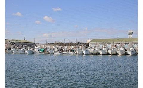 【12月18日受付分まで年内発送】しらす屋のしらす干し　1ｋｇ×12個　12ｋｇ　H006-071