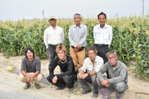 厳選朝採り とうもろこし(スイートコーン)「味来」 15本 甘い 柔らかい 安心 安全 新鮮 早朝収穫 野菜 夏野菜 大容量　H017-092
