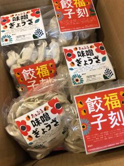 【ボリューム満点】居酒屋のおかあちゃん手作り　“パリパリひと口ぎょうざ”と“もちもち餃子”コラボセット 合計240個　H136-032