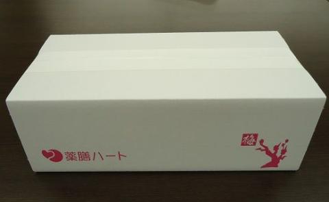 【12月24日受付分まで年内発送】和漢入り梅エキス　葯膳梅　H001-063