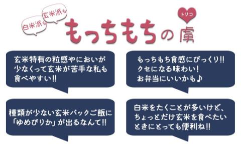 【12月14日受付分まで年内発送】【玄米パックご飯】北海道産ゆめぴりか使用 150g×24個入り やわらかい玄米ごはん レトルト 玄米 パックライス レンジ 保存食 防災 キャンプ ごはん 安心安全なヤマトライス H074-633