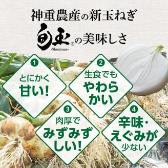 【福箱★2026】訳あり 新玉ねぎ 旬玉８.5kg 生がおいしい神重農産のブランド玉ねぎ H105-169
