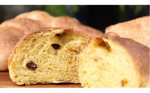 国産小麦・天然酵母　乳卵バター不使用　石窯焼きパンセット　H069-024